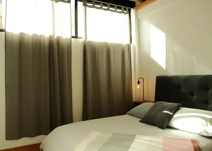 Hotel Mina 32 - Coyoacan 2*