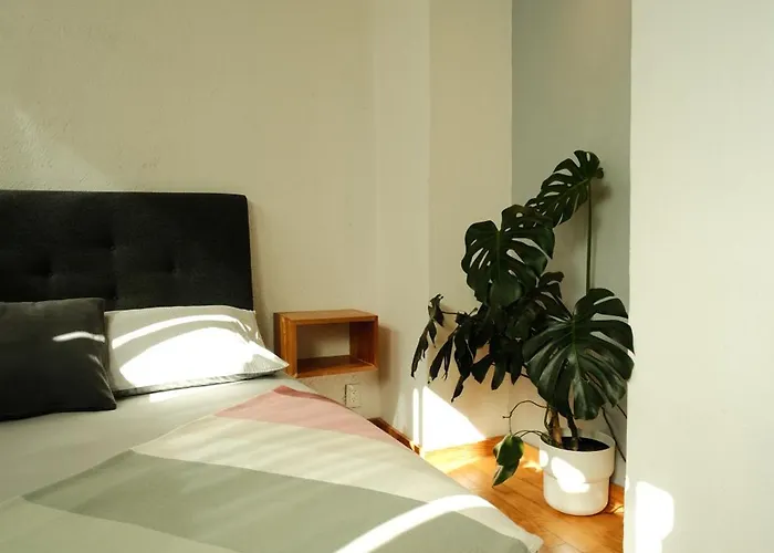 Mina 32 - Coyoacan Hotel Mexico City